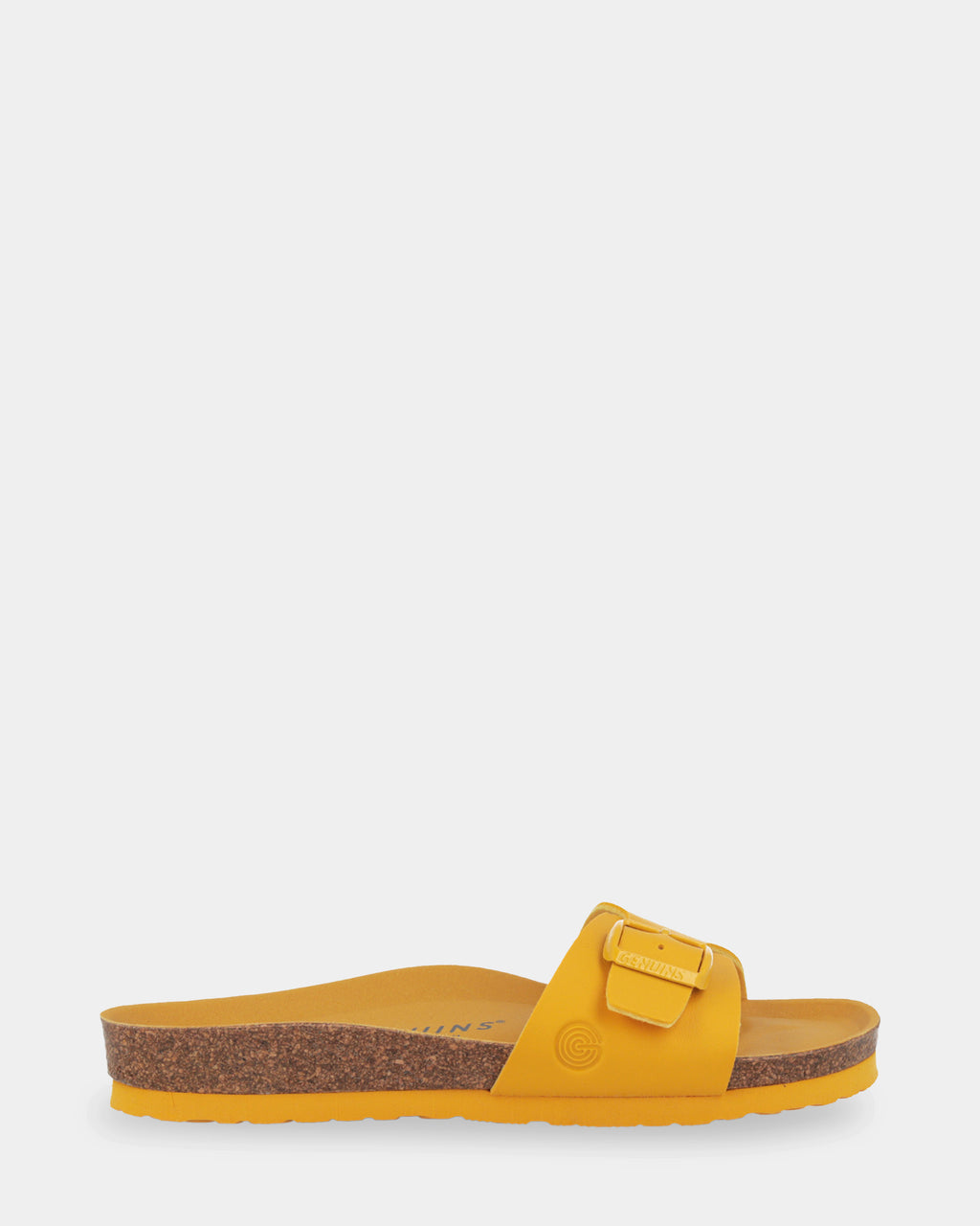 Toronto Slides
