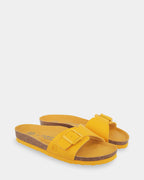 Toronto Slides