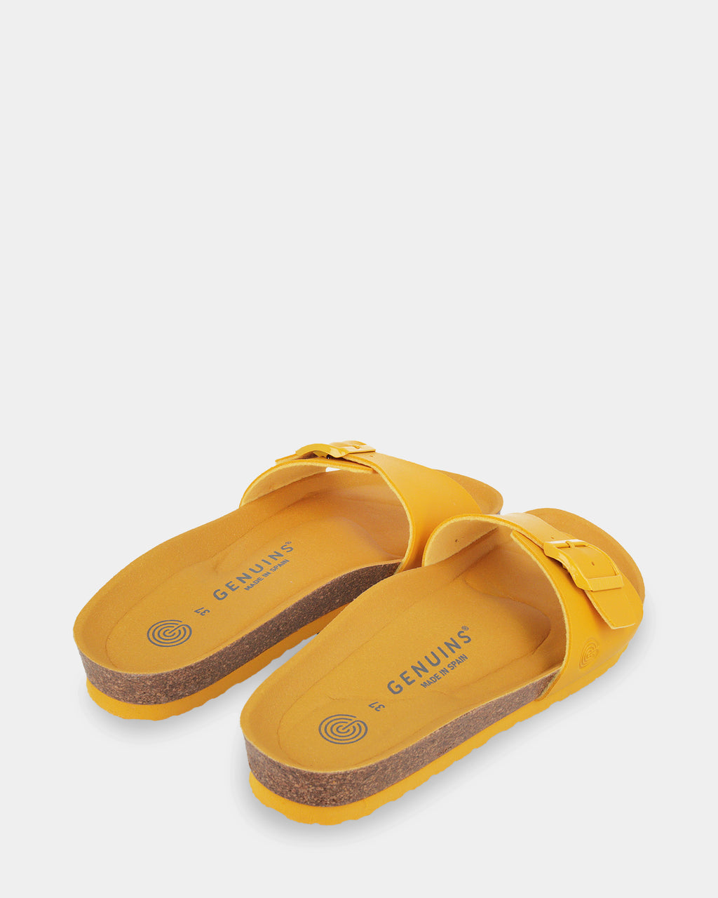 Toronto Slides