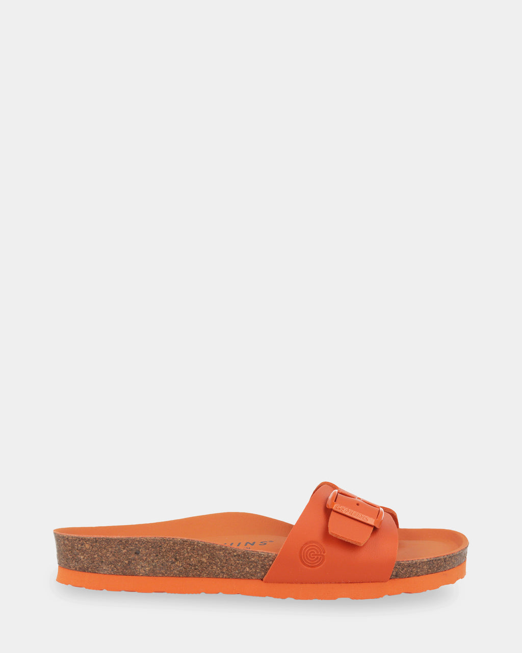 Toronto Slides