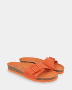 Toronto Slides