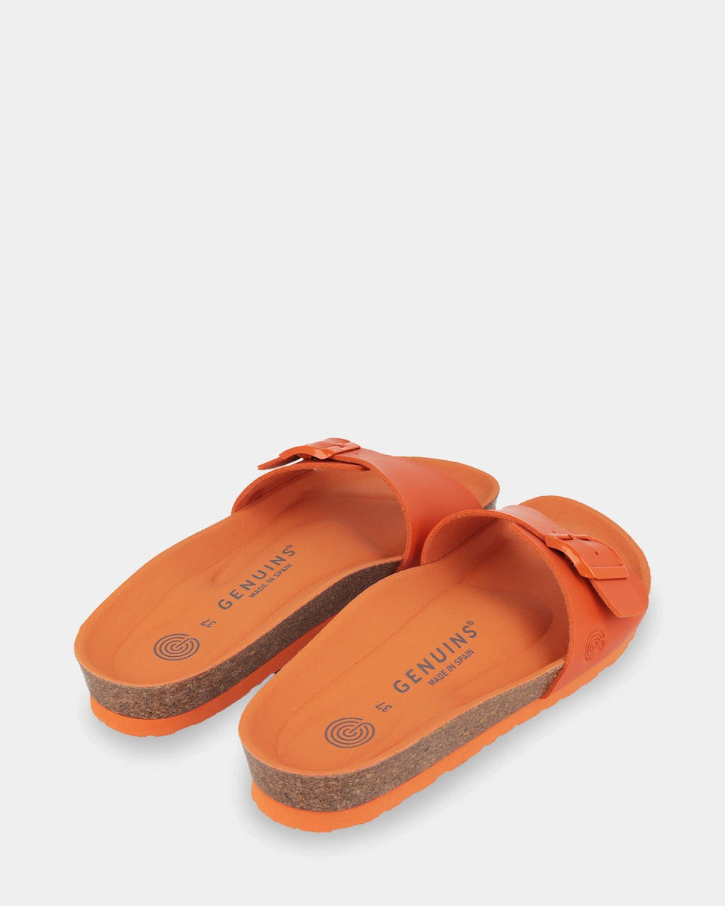 Toronto Slides