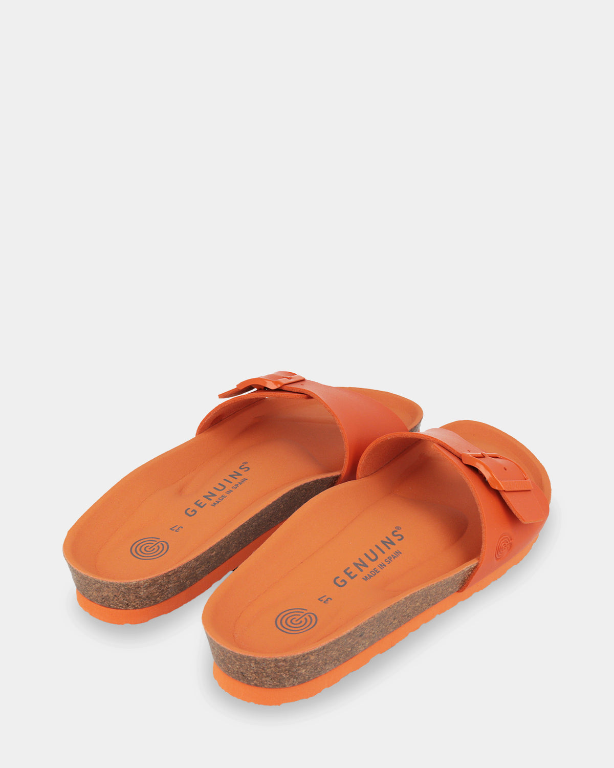 Toronto Slides
