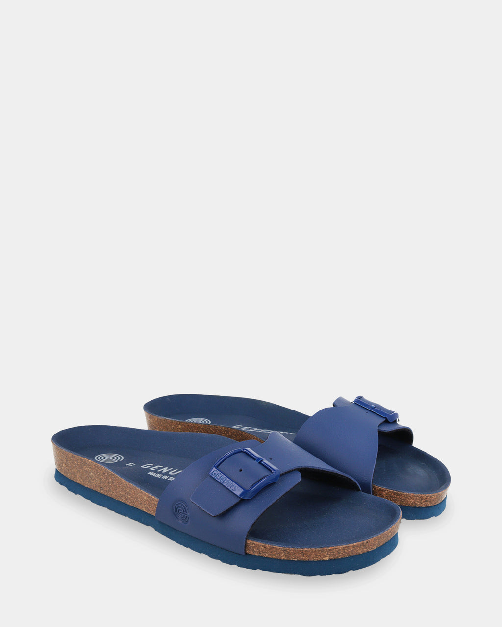 Toronto Slides