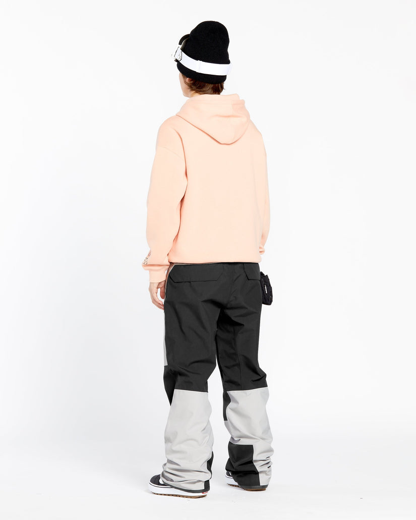 Womens Stone Mica 20K Snow Pants