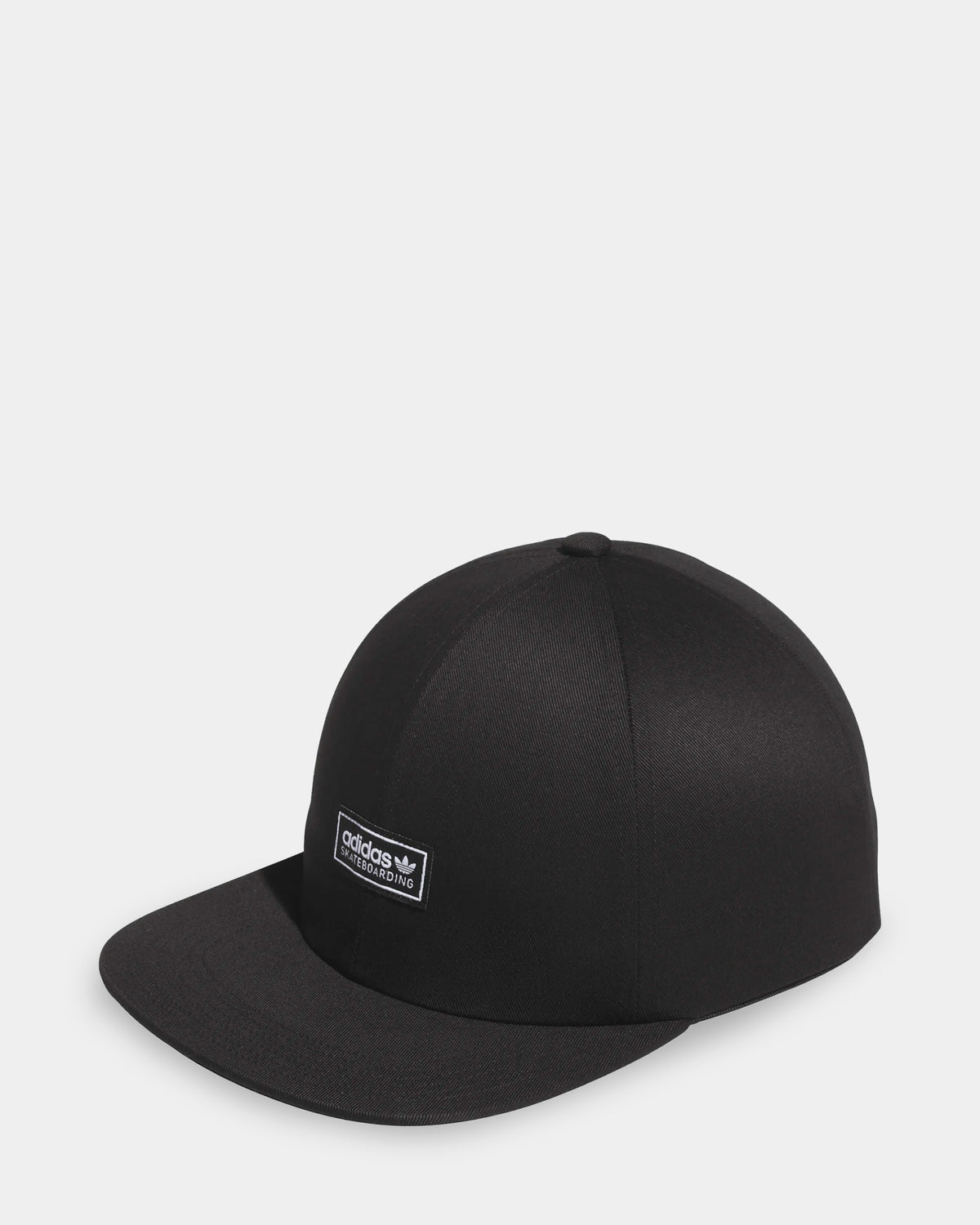 Skateboarding Lowkey Cap