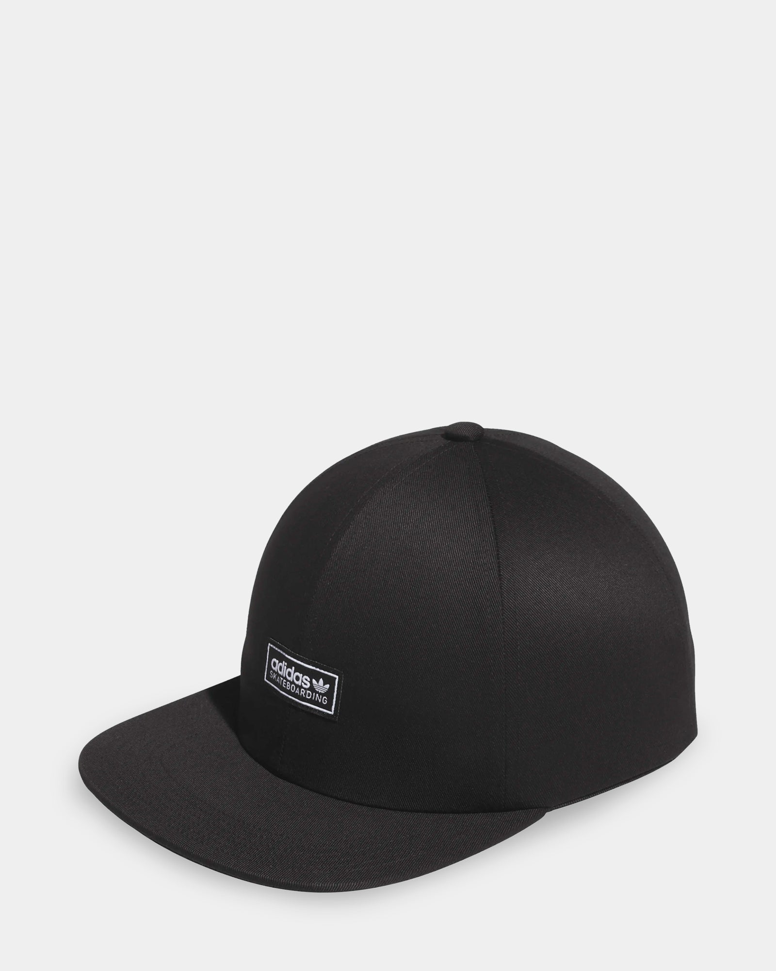 Skateboarding Lowkey Cap