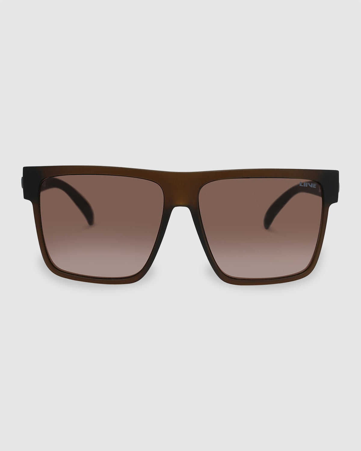 Envy Sunglasses