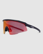 Dealer Oversized Sunglasses