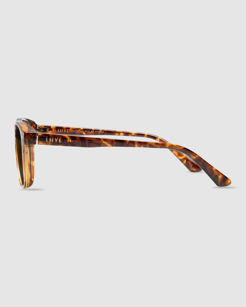 Phoenix Polarized Sunglasses