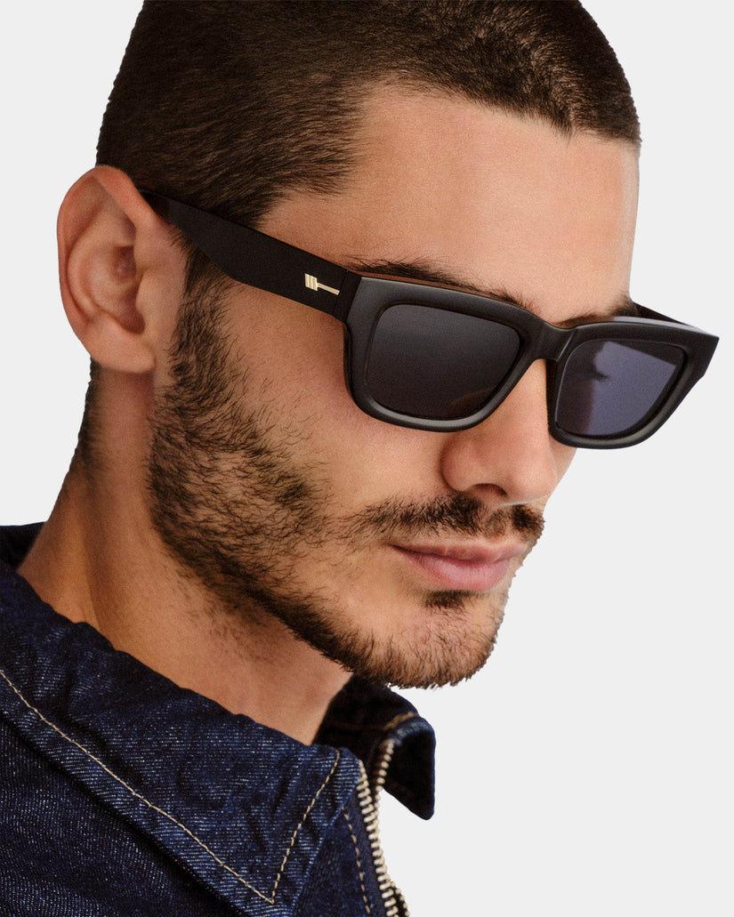 Le Castle Polarized Sunglasses