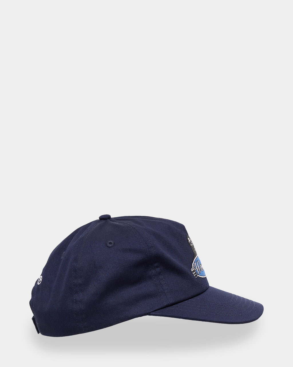 Mens Observer Panel Dad Cap