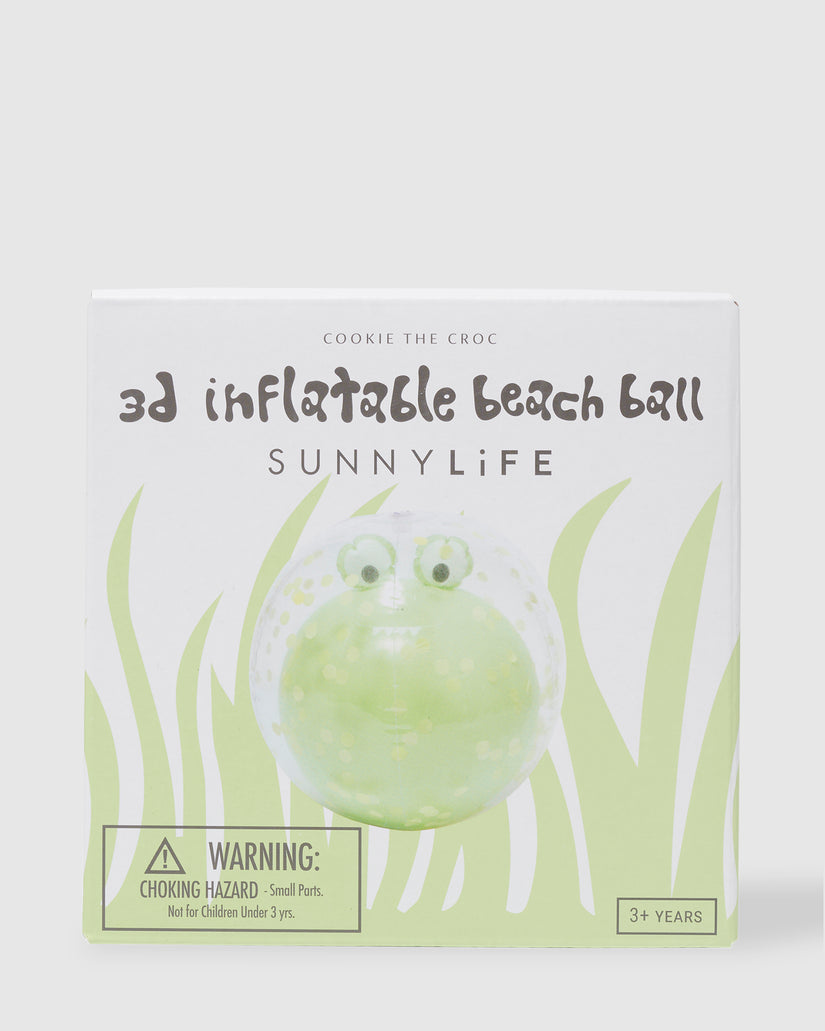 3D INFLATABLE BEACH BALL