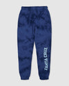 Boys 8-16 Inherit Strip Tracksuit Pants