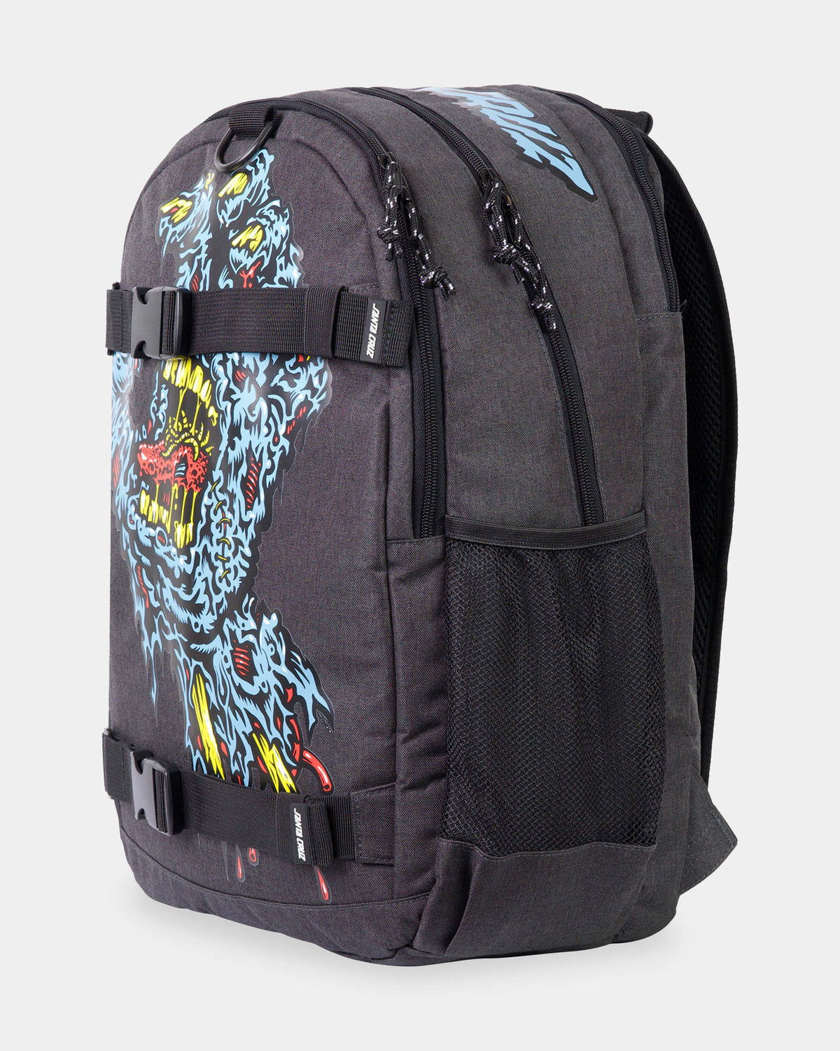 Boys Santa Cruz Decaying Hand Backpack