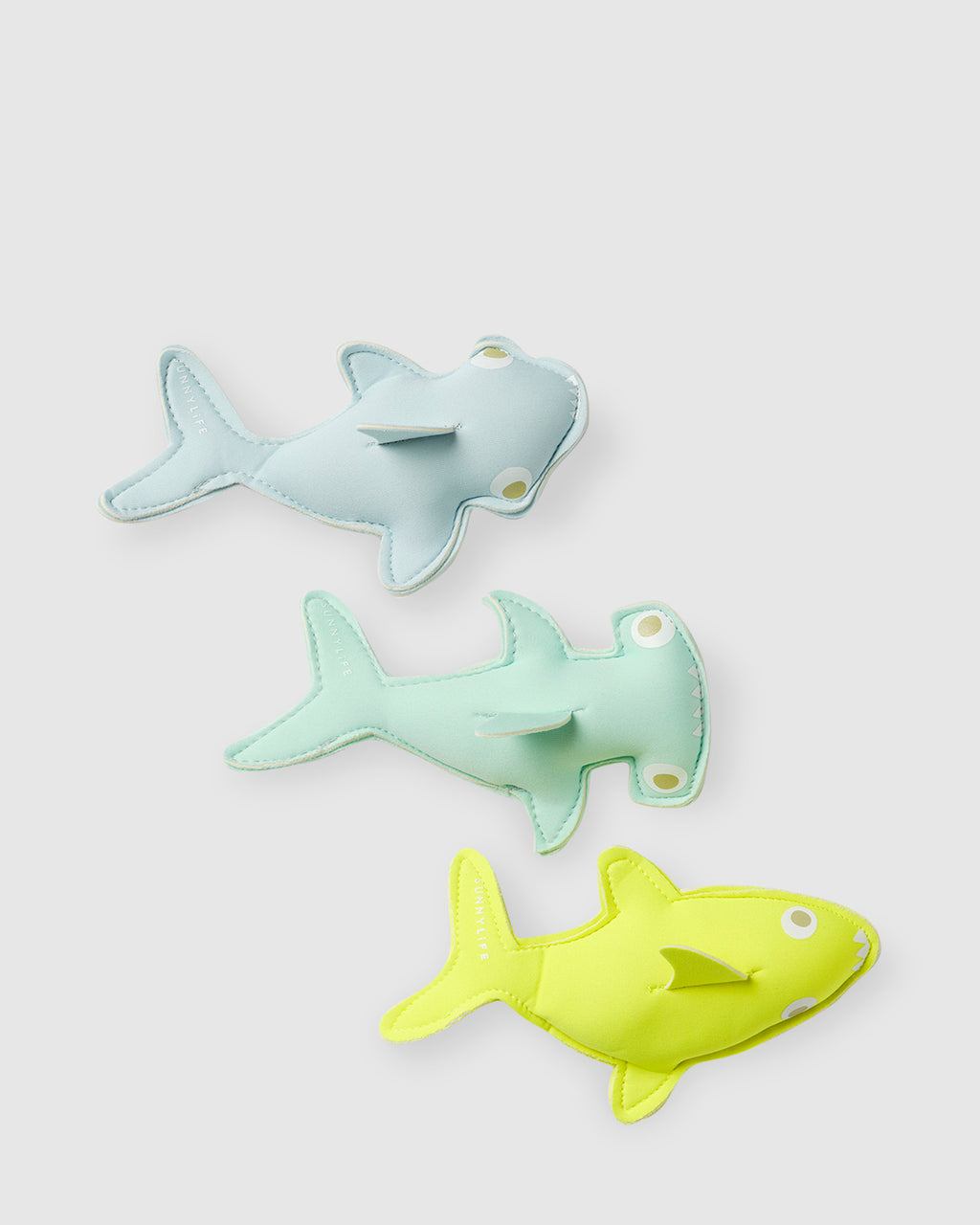 Salty The Shark Dive Buddies