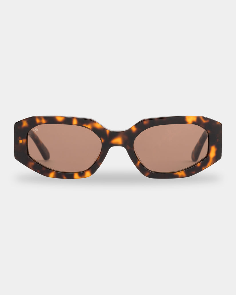 JUICY HONEY TORT BROWN