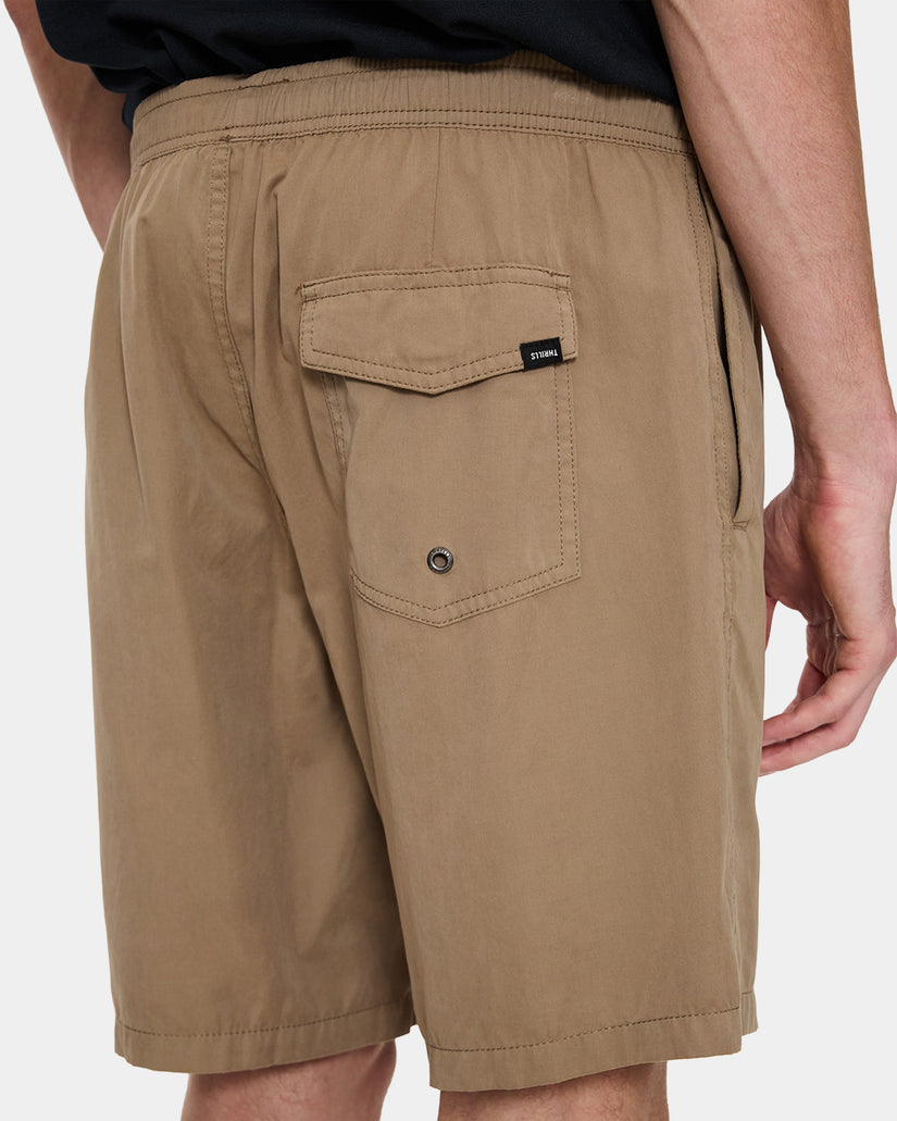 Mens Thrills Forever Volley Walkshorts