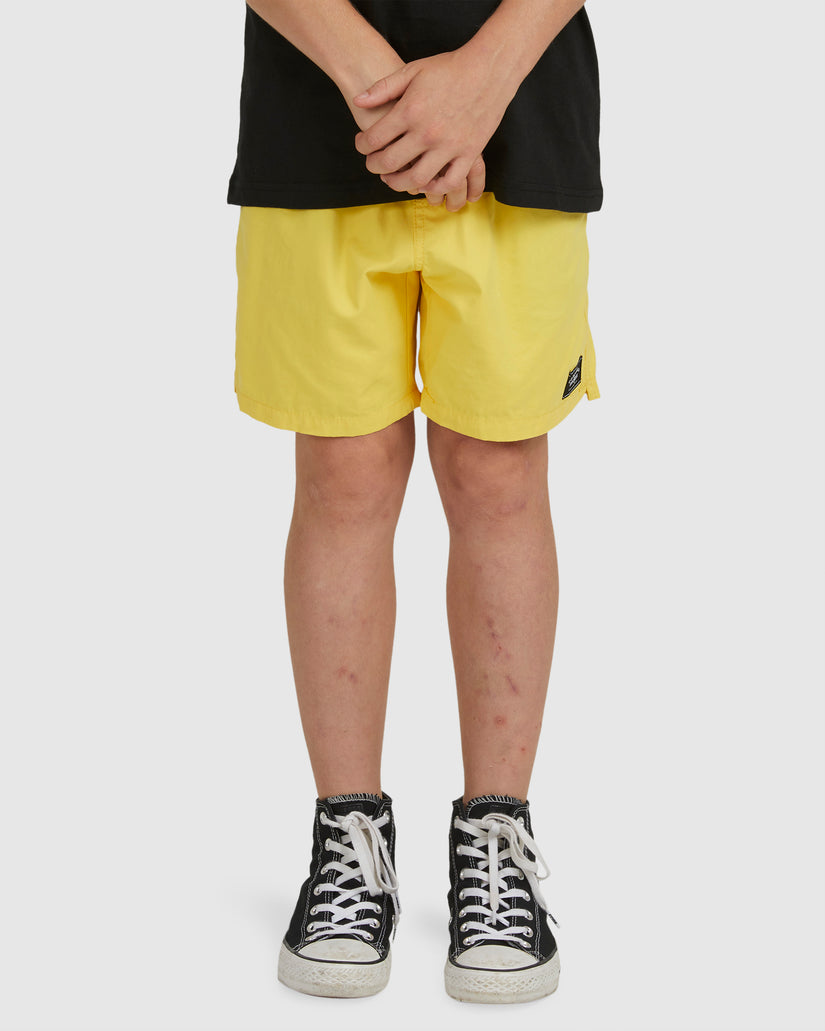 BOYS 8-16 SALTY DOG BEACH SHORT