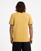 a4332473_volcom_mus_bck1