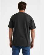 a4342473_volcom_sth_bck1