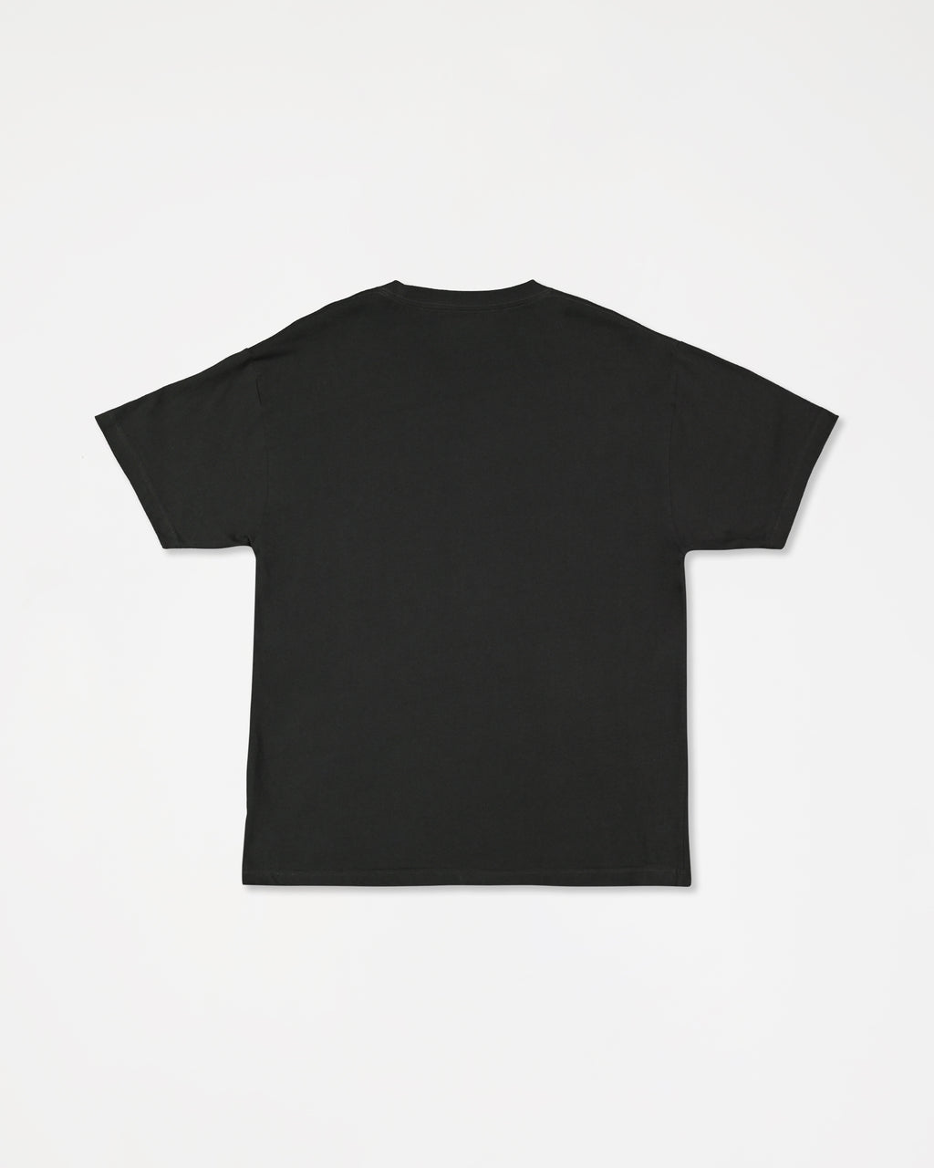 a4342473_volcom_sth_bck1_flat
