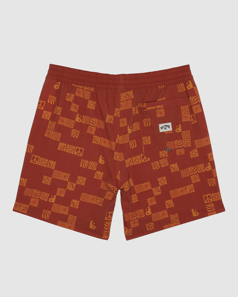 Boys 8-16 Sundays Layback Boardshorts