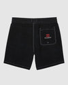 Boys 8-16 Riot Layback Boardshorts