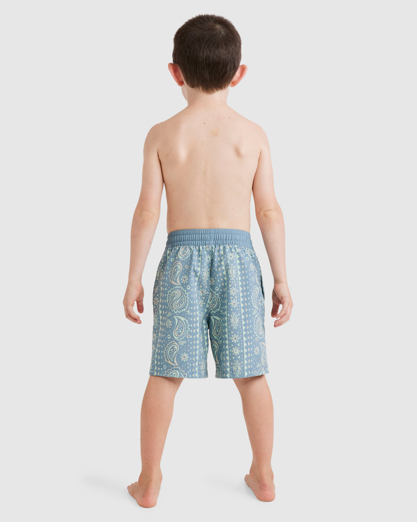 Boys 0-7 Good Times Layback Boardshorts
