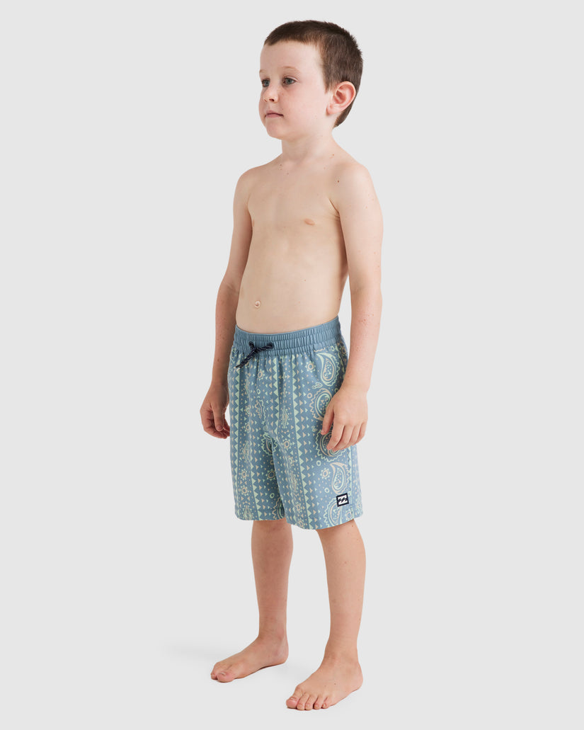 Boys 0-7 Good Times Layback Boardshorts