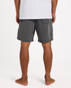 Mens All Day Overdye Layback 17" Boardshorts