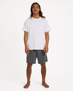 Mens All Day Overdye Layback 17" Boardshorts