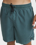 Mens All Day Overdye Layback 17" Boardshorts