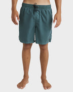 Mens All Day Overdye Layback 17" Boardshorts