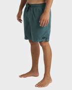 Mens All Day Overdye Layback 17" Boardshorts