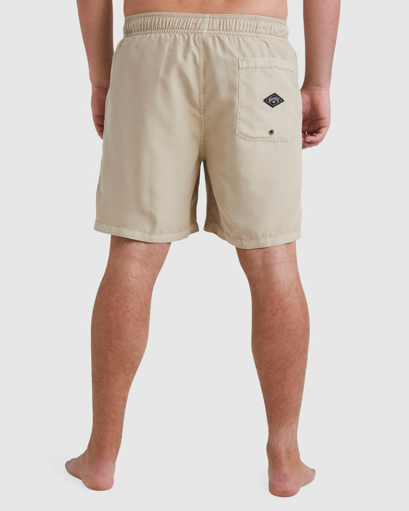 Mens All Day Overdye Layback 17" Boardshorts