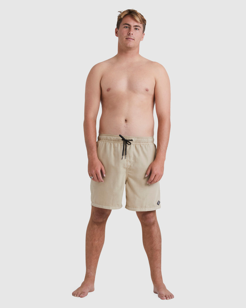 Mens All Day Overdye Layback 17" Boardshorts