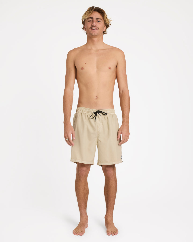 Mens All Day Overdye Layback 17" Boardshorts