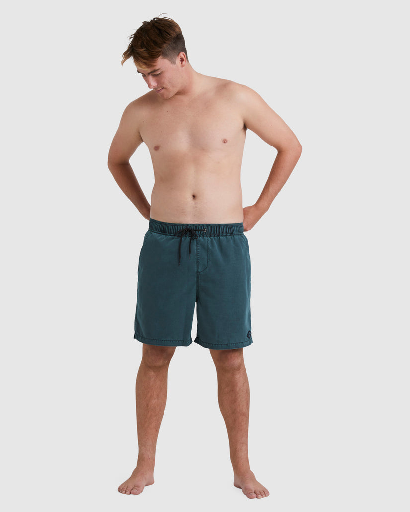 Mens All Day Overdye Layback 17" Boardshorts