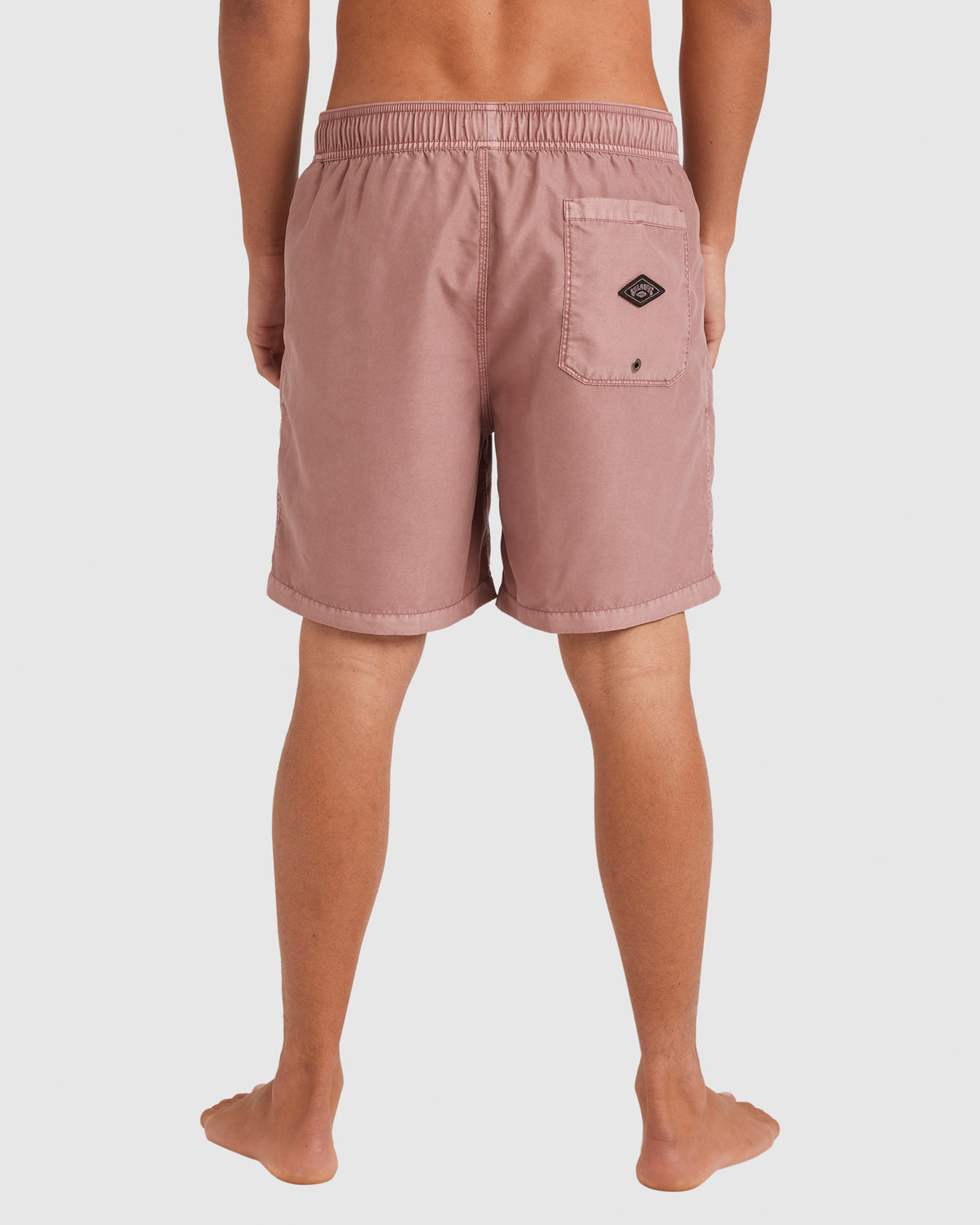 Mens All Day Overdye Layback 17" Boardshorts