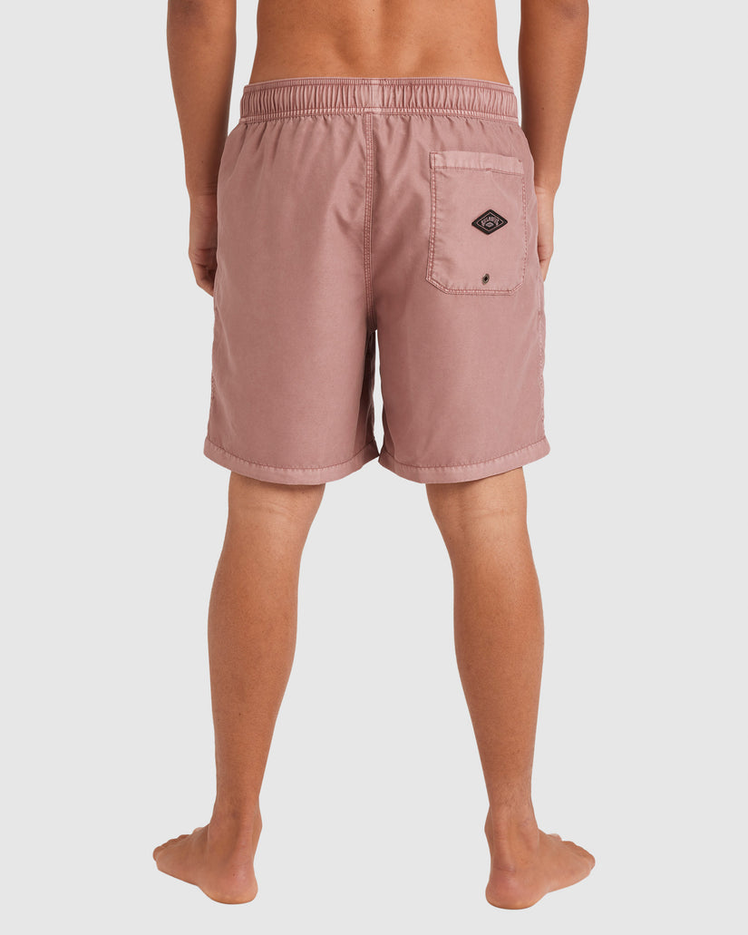 Mens All Day Overdye Layback 17" Boardshorts
