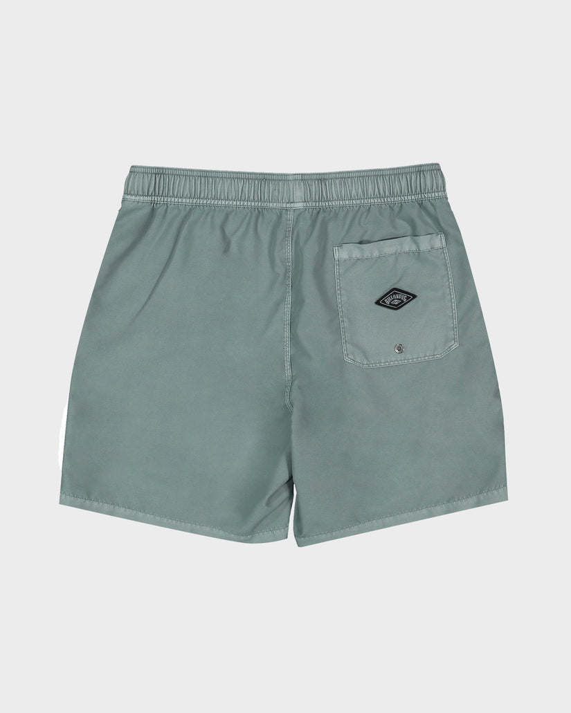 Mens All Day Overdye Layback 17" Boardshorts