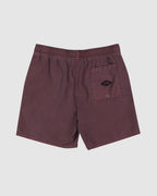 Mens All Day Overdye Layback 17" Boardshorts