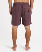 Mens All Day Overdye Layback 17" Boardshorts
