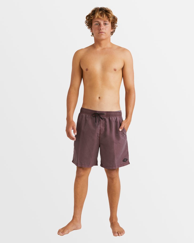 Mens All Day Over Dye Layback 17" Boardshorts