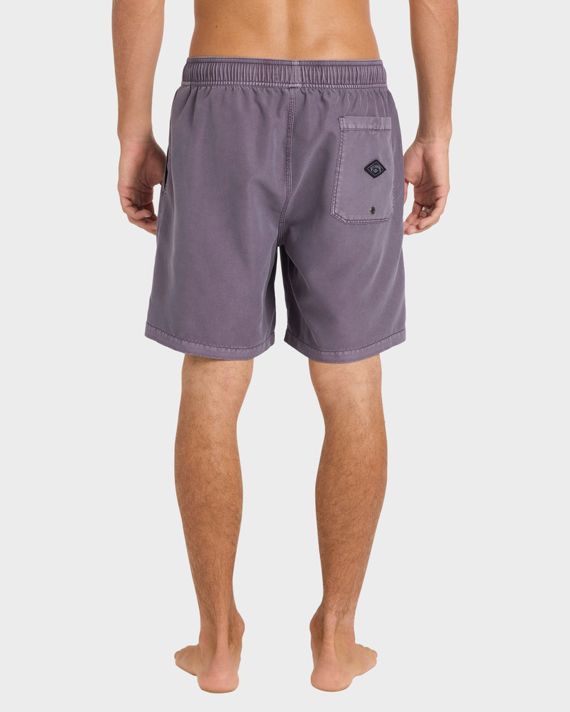 Mens All Day Overdye Layback 17" Boardshorts