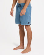 Mens All Day Overdye Layback 17" Boardshorts