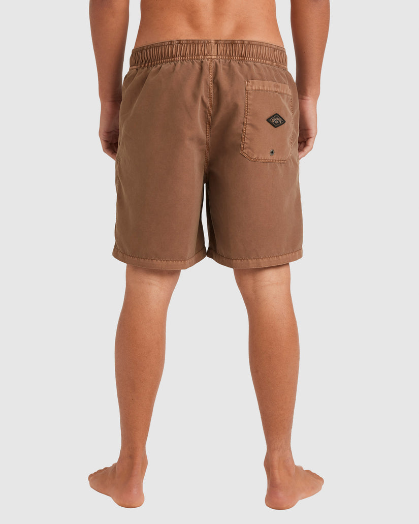 Mens All Day Overdye Layback 17" Boardshorts
