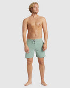 Mens D Bah Lo Tide 18" Boardshorts