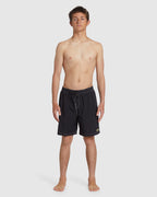 Mens Riot Layback Boardshorts